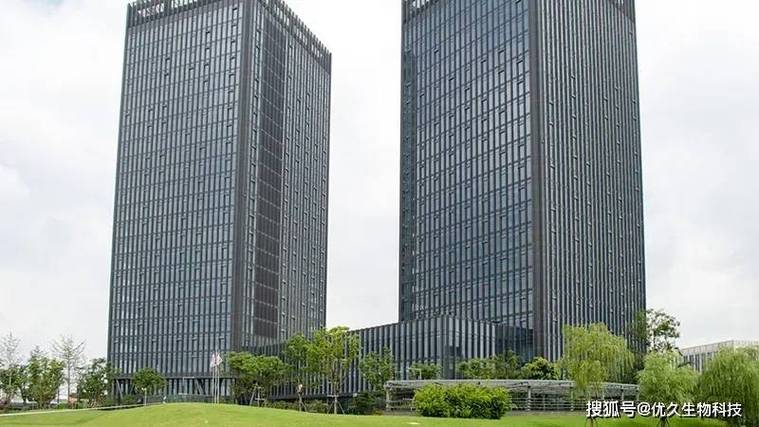 飼料原料與添加劑銷售及技術服務 為畜牧業賦能的核心路徑